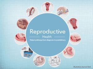 Cook Medical Release: Distinguished Reproductive  .